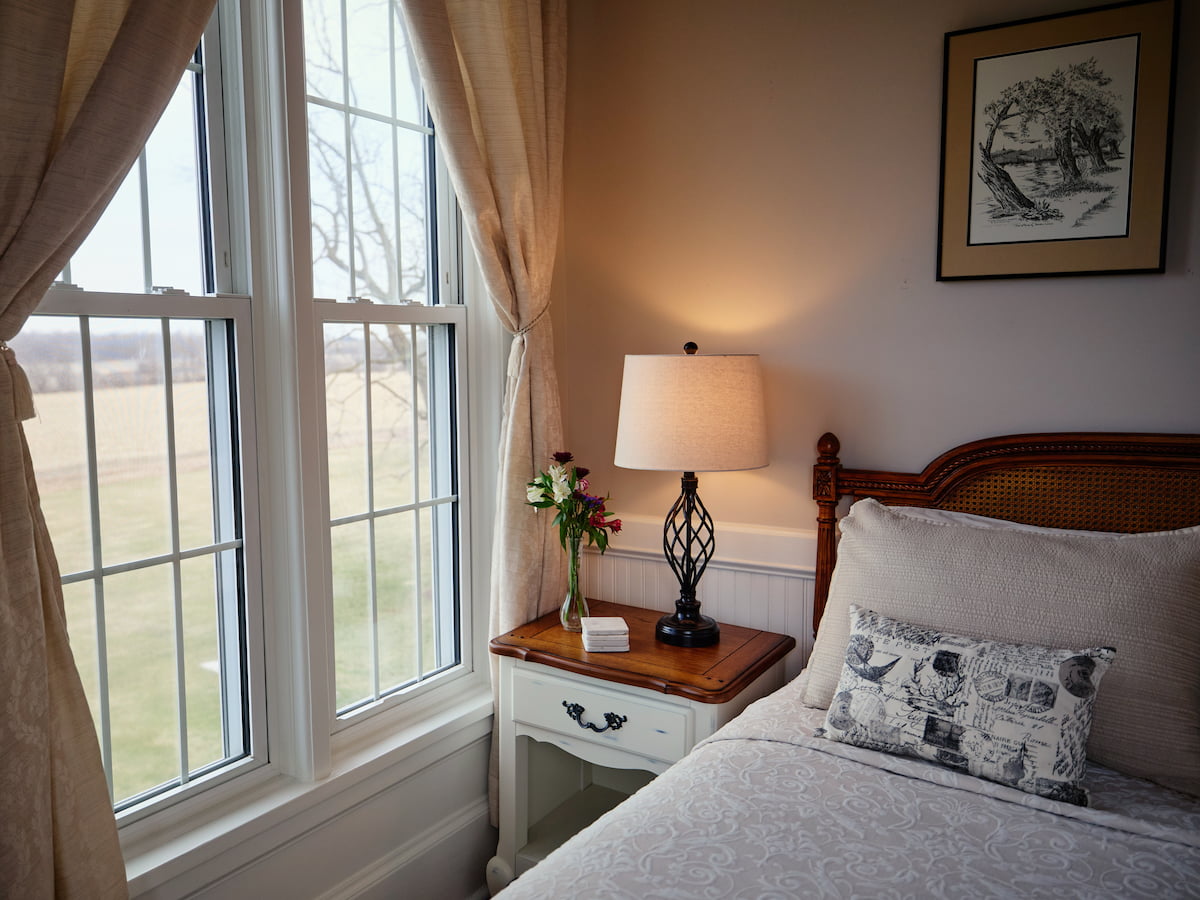 The Willow - window view